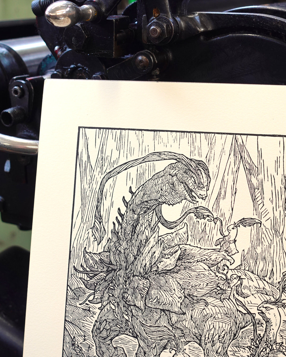 MEGANIUM - Handmade woodblock print - 28x22cm